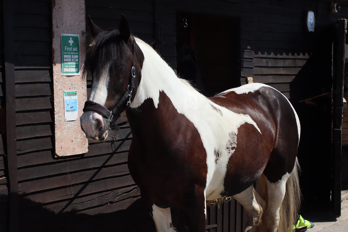 Bristol Riding School