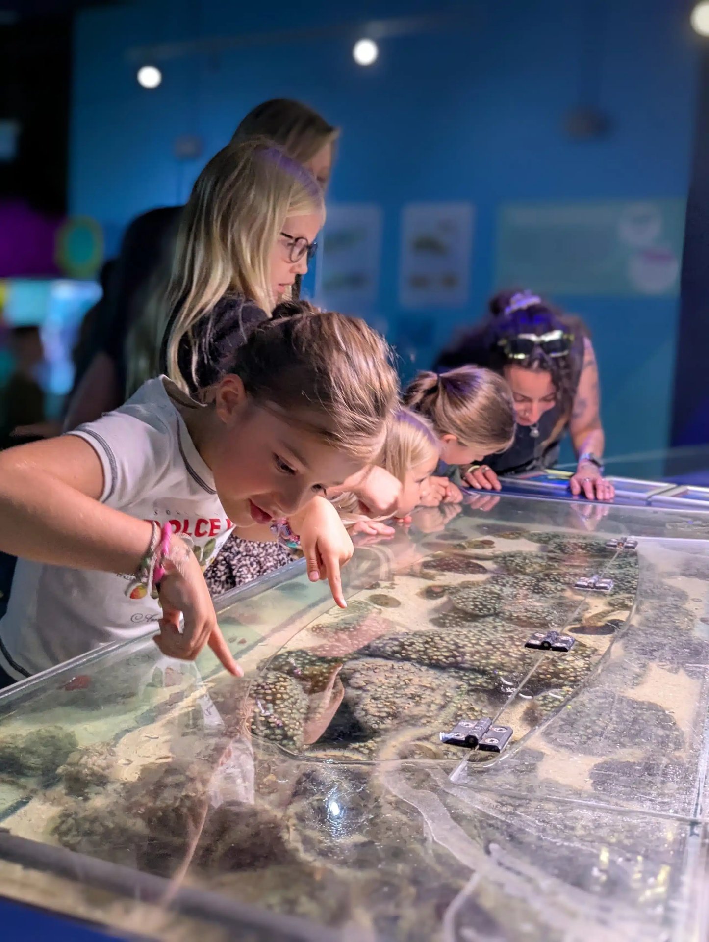 Bristol Aquarium — kids' party venue in Bristol